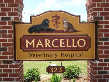 Marcello Veterinary Hospital: Kevin Showalter, DVM