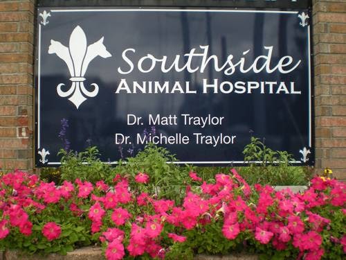 Southside Animal Hospital: Dr. Michelle Traylor