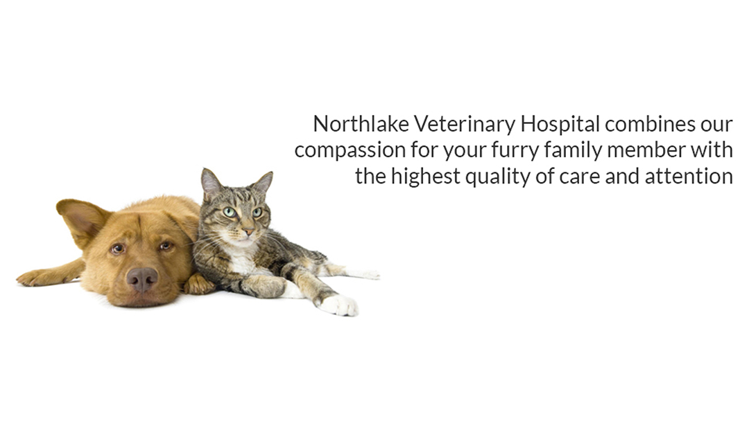 Northlake Veterinary Hospital: Mauberret Catherine DVM
