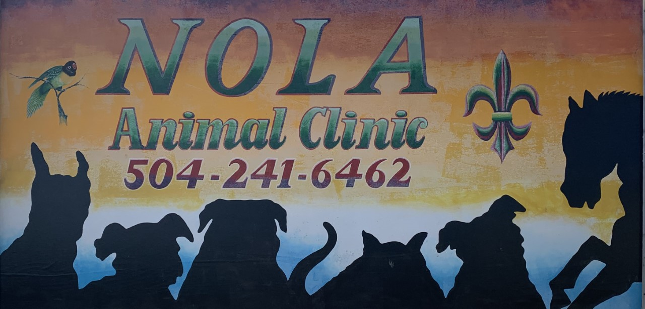 NOLA Animal Clinic