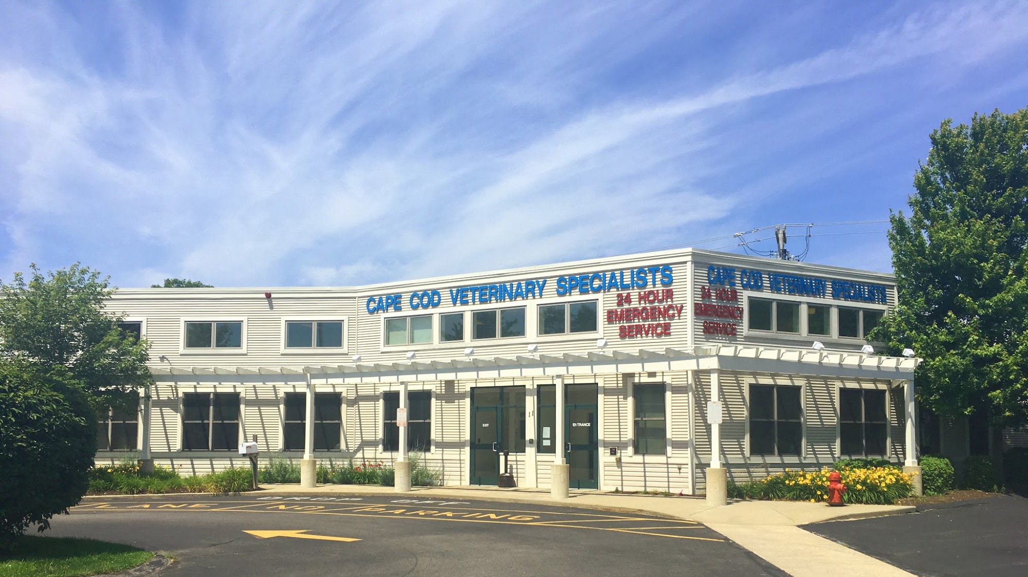 Cape Cod Veterinary Specialists