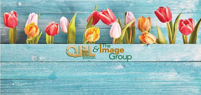QPL,Inc & the Image Group