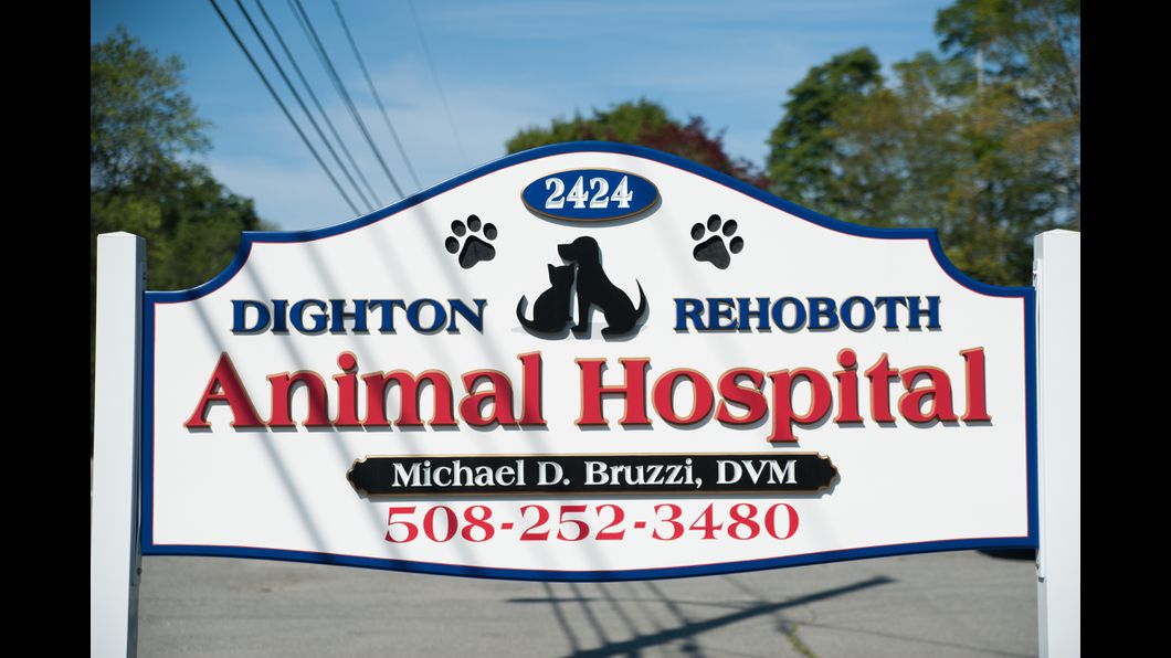 Dighton Rehoboth Animal Hospital, Inc