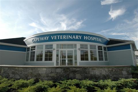VCA Capeway Animal Hospital