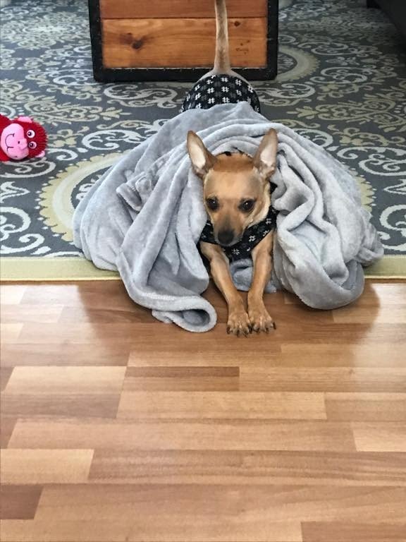 Photo credit: yelp