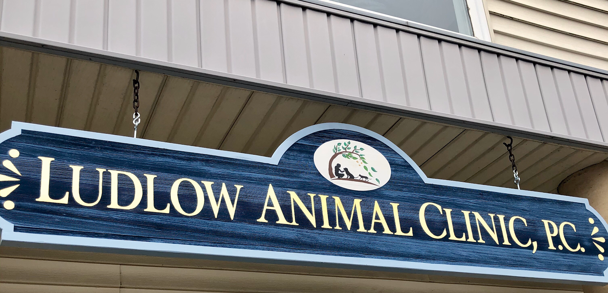 Ludlow Animal Clinic, P.C.