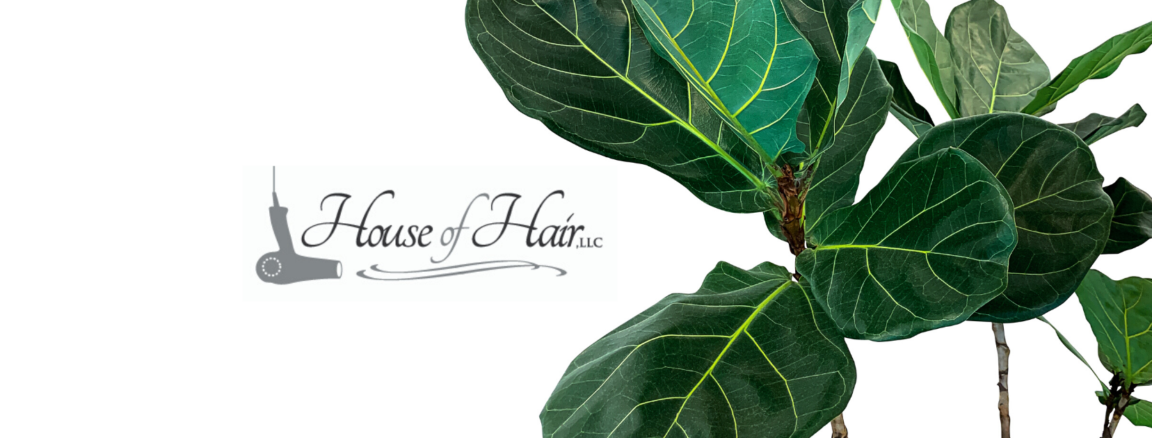 House of Hair, LLC