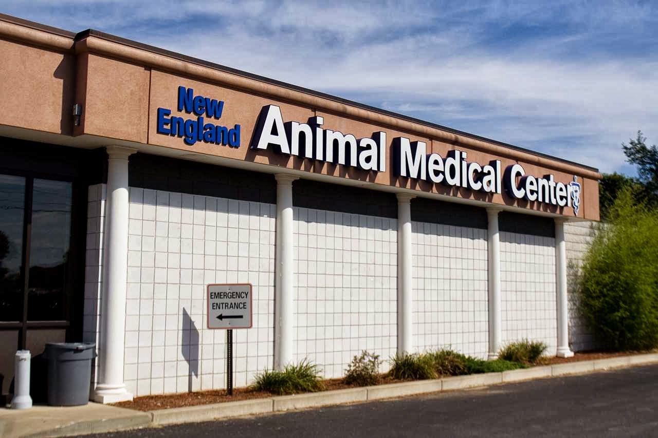 New England Animal Medical Center