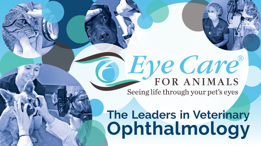 Eye Care for Animals - Columbia