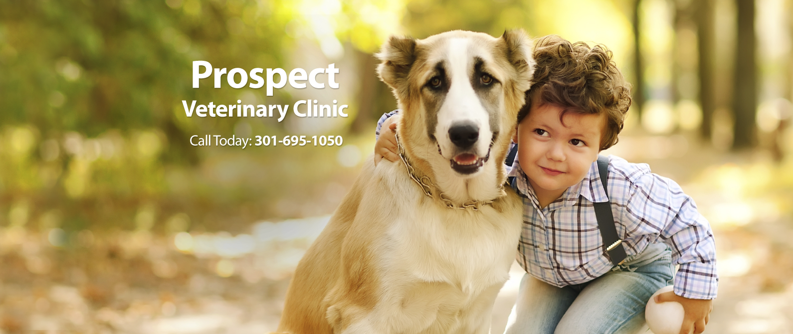 Prospect Veterinary Clinic