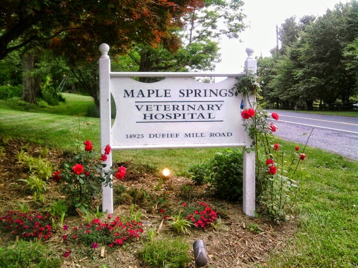 Maple Springs Veterinary Hospital