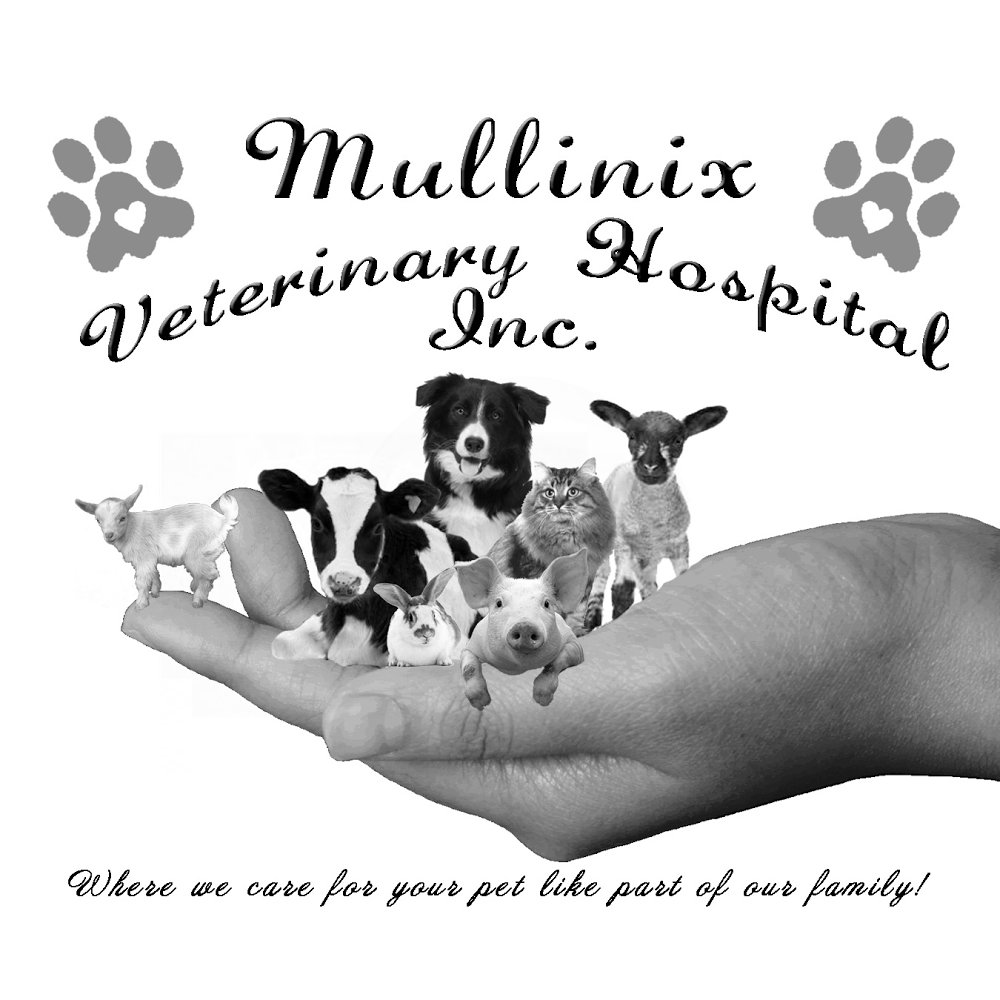 Mullinix Veterinary Hospital
