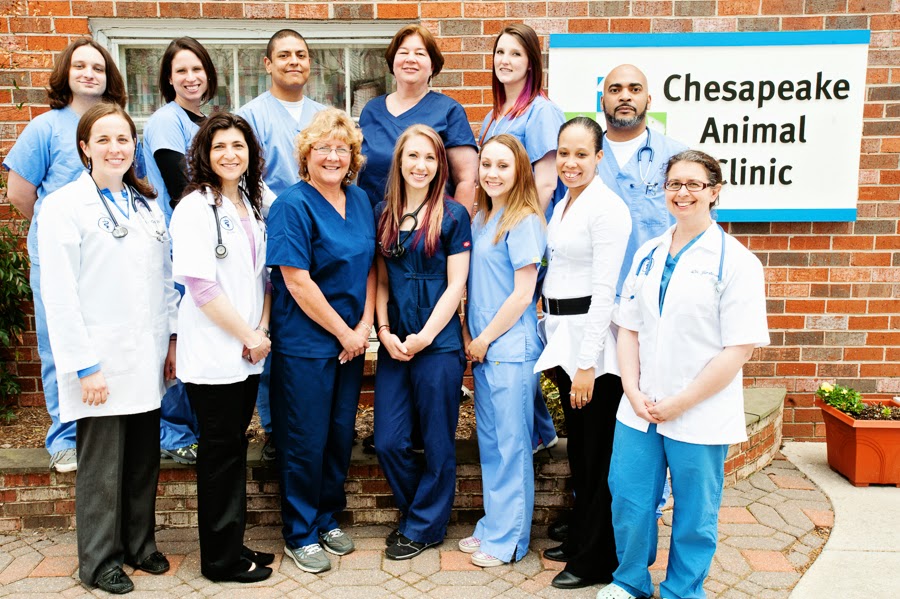 Chesapeake Animal Clinic