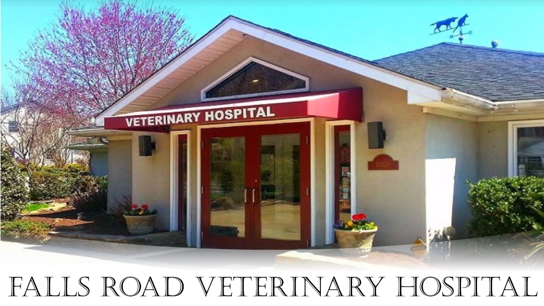 Falls Road Veterinary Hospital, A Thrive Pet Healthcare Partner