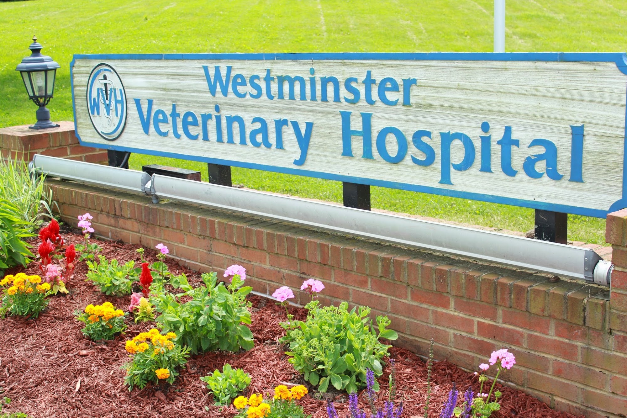 Westminster Veterinary Hospital