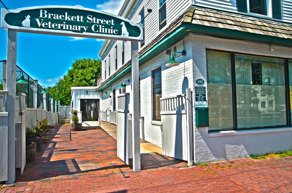 Brackett Street Veterinary Clinic