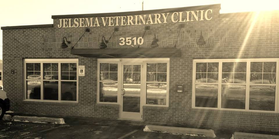 Jelsema Veterinary Clinic