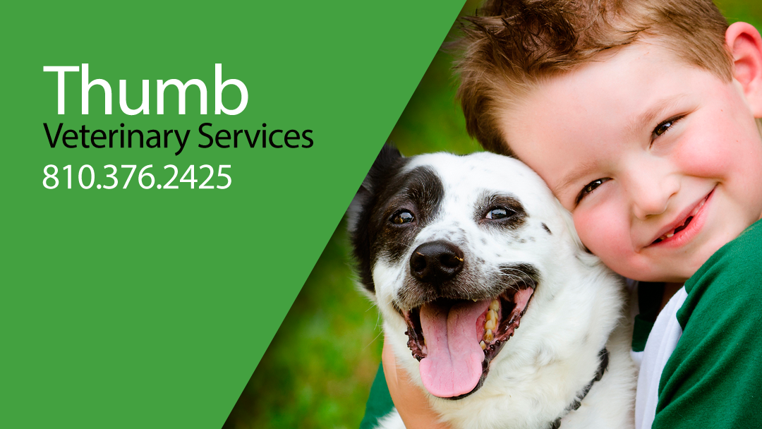 Thumb Veterinary Services