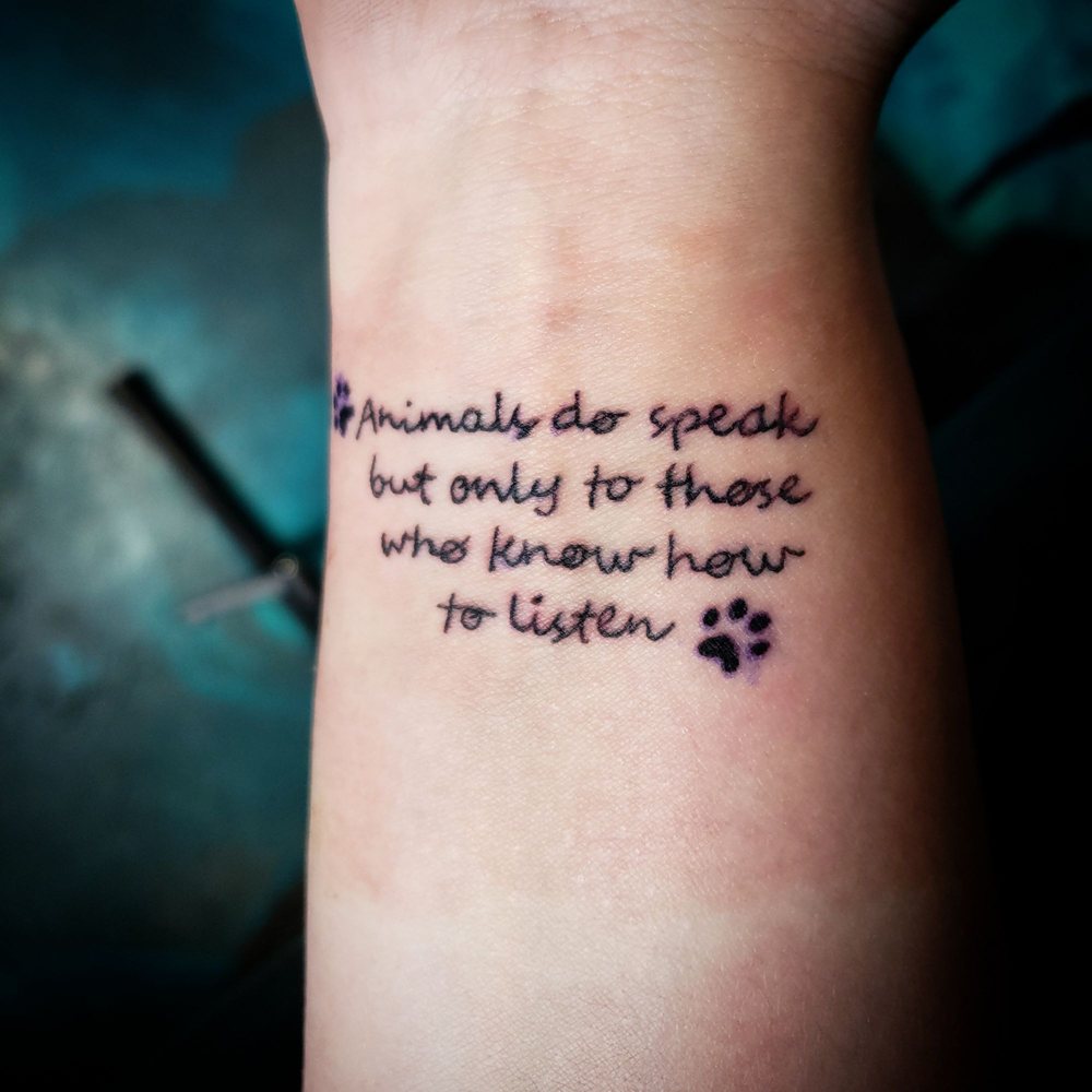 Photo credit: 
