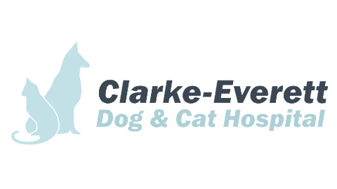 Clarke-Everett Dog & Cat Hospital: Lint Sara E DVM