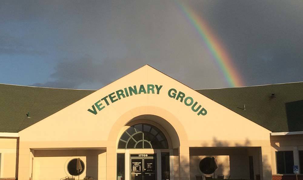 Veterinary Group of Chesterfield