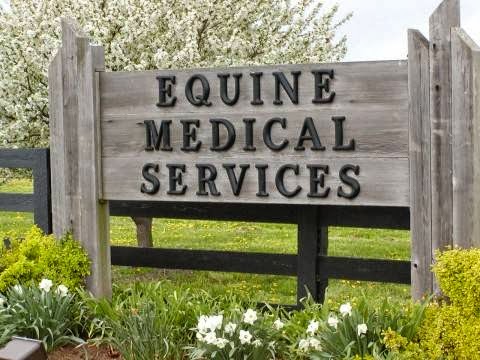 Equine Medical Services