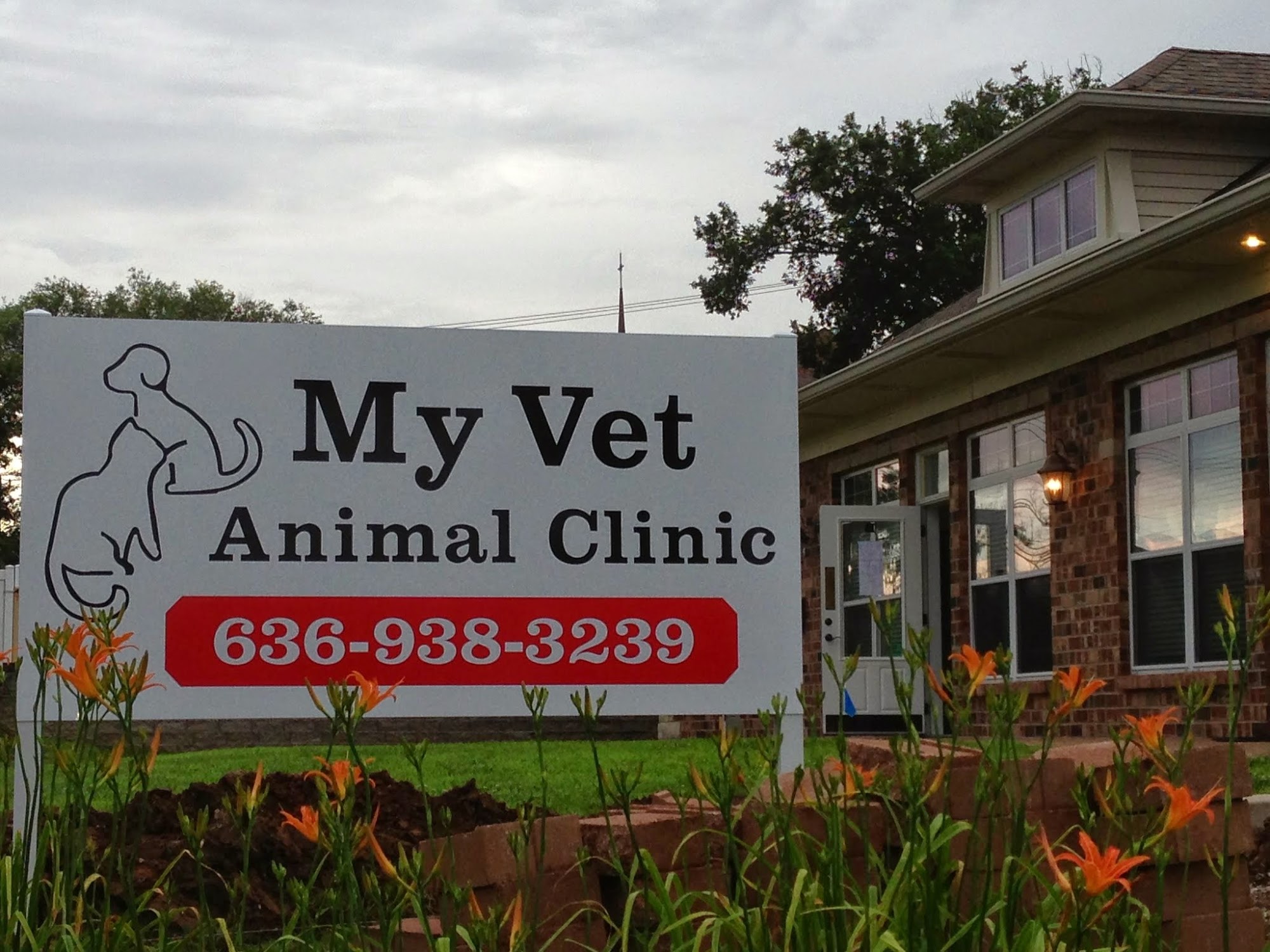 My Vet Animal Clinic