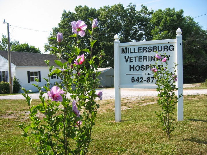 Millersburg Veterinary Hospital