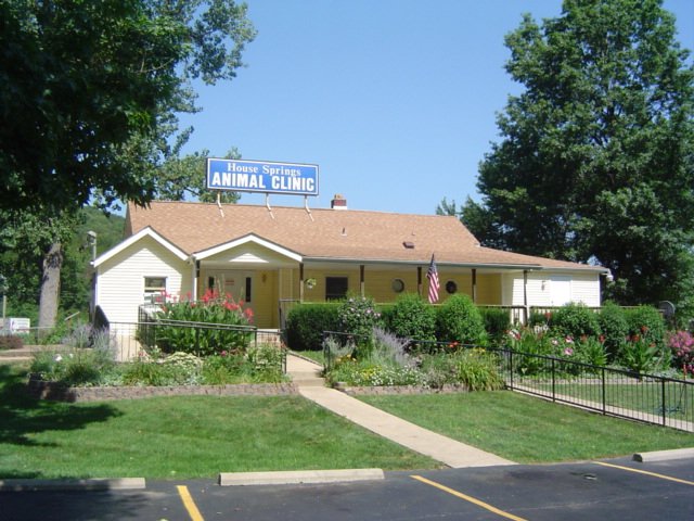 House Springs Animal Clinic