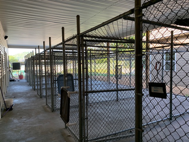 PAWJAMA PARTY KENNELS