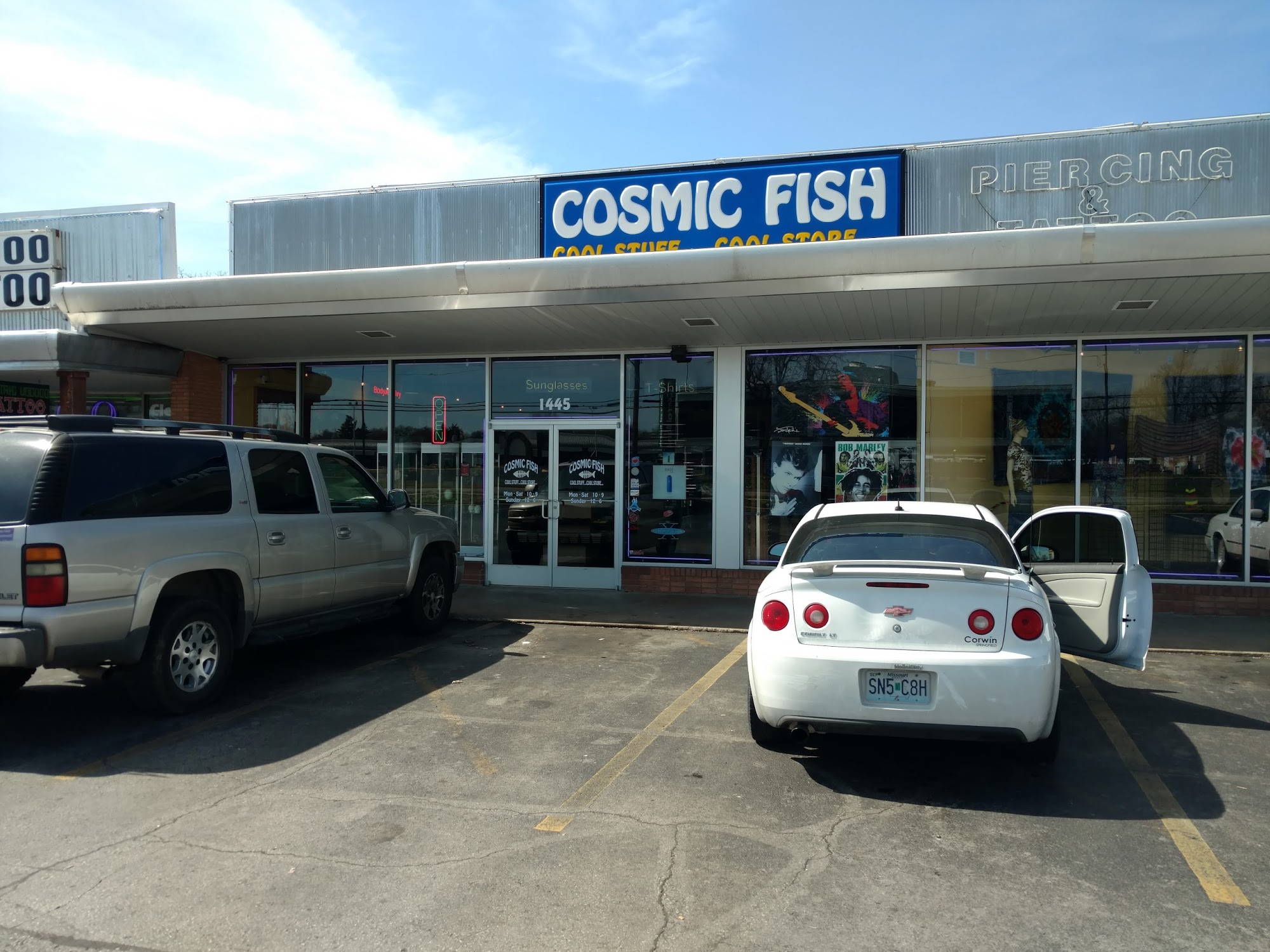 Cosmic Fish
