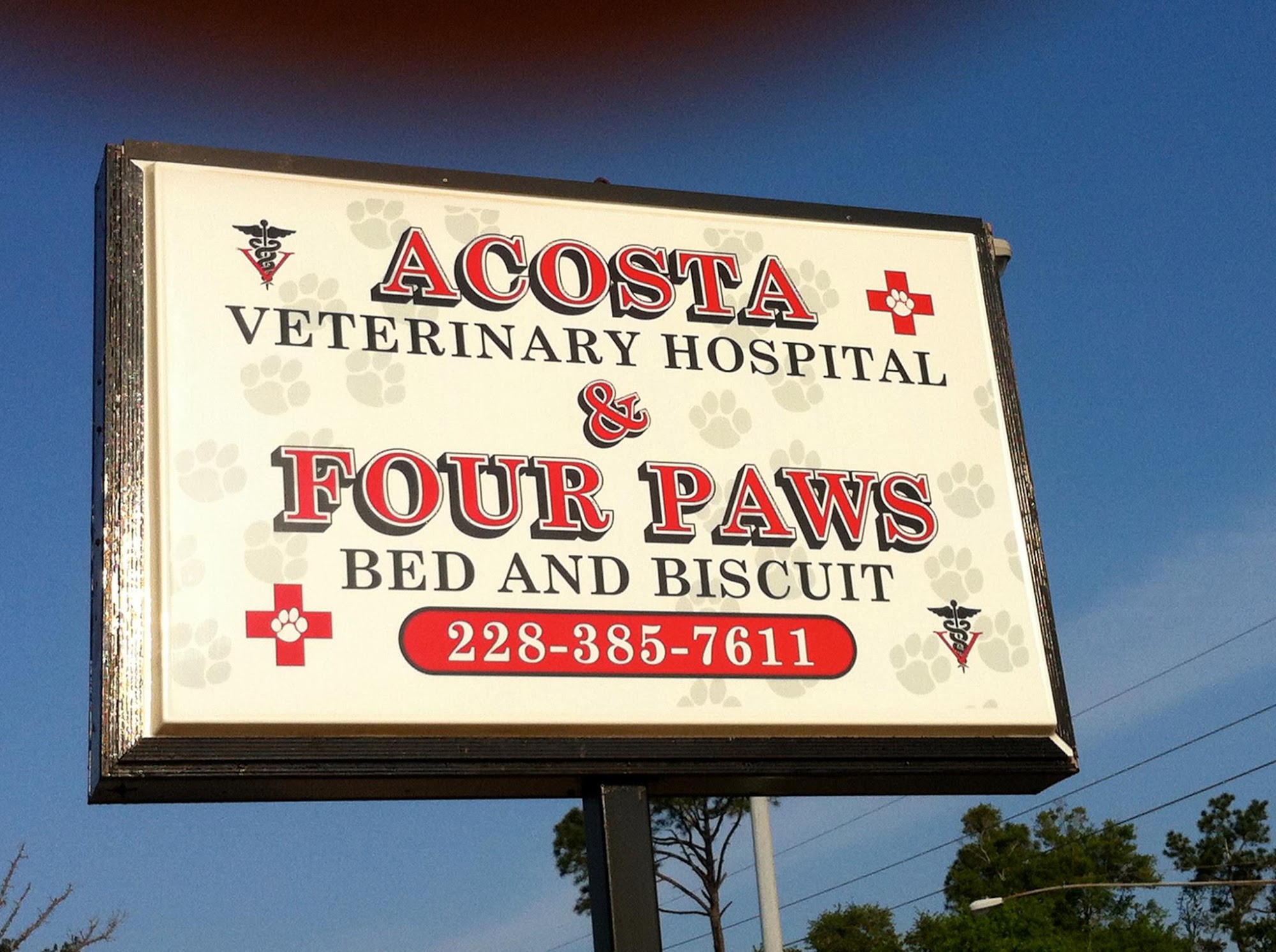 Acosta Veterinary Hospital