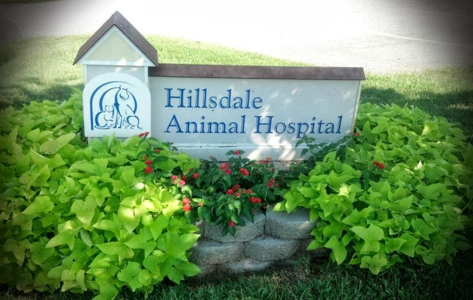 Hillsdale Animal Hospital - Karla Frazier, DVM