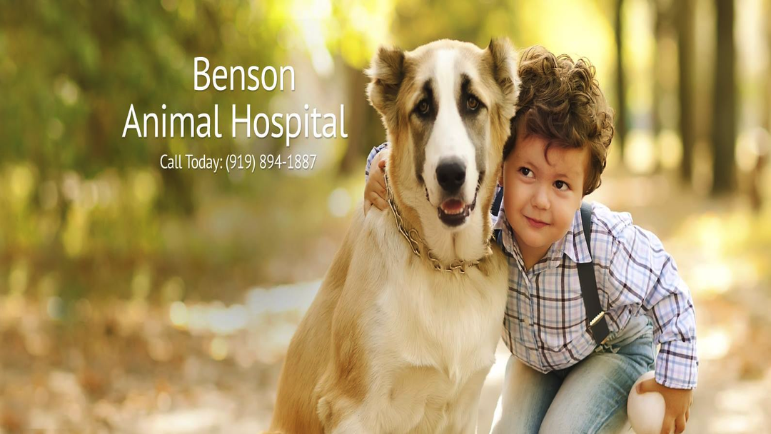 Benson Animal Hospital