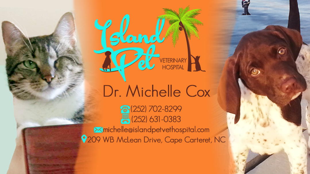 Island Pet Veterinary Hospital