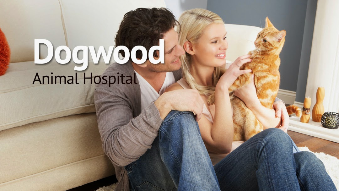 Dogwood Animal Hospital