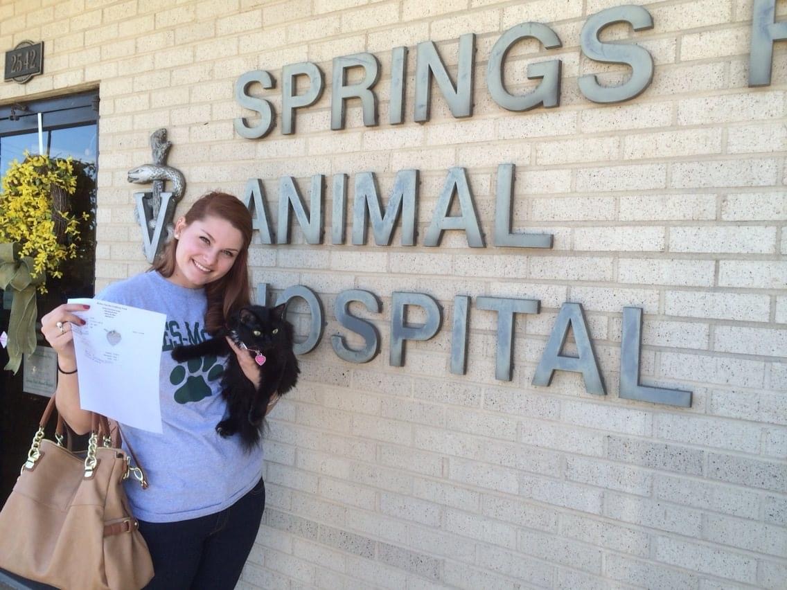 Springs Road Animal Hospital