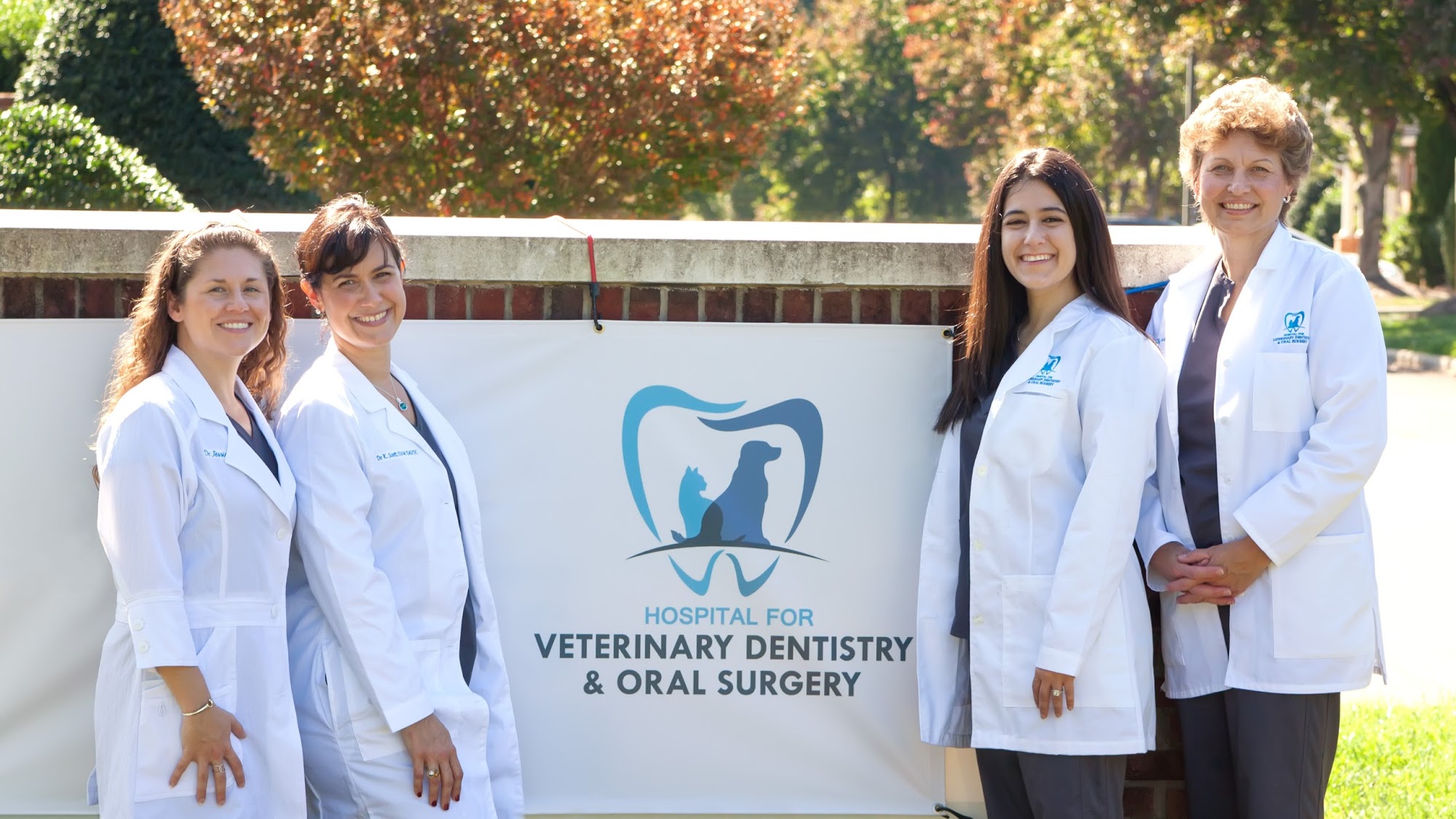 Hospital for Veterinary Dentistry and Oral Surgery