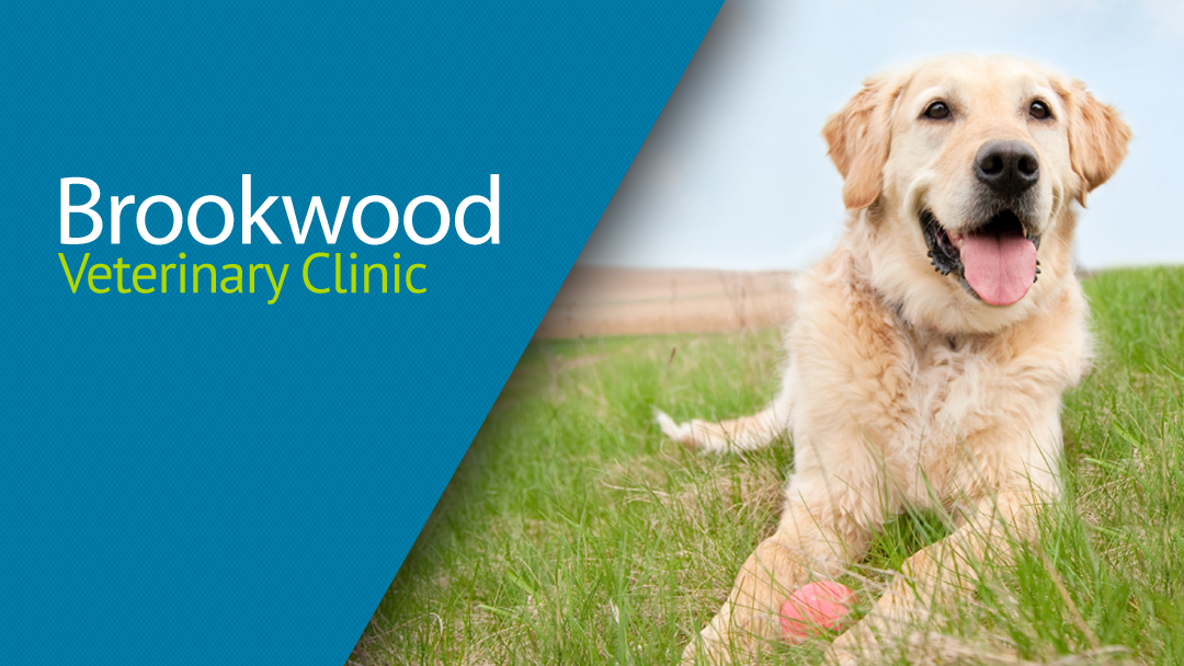 Brookwood Veterinary Clinic