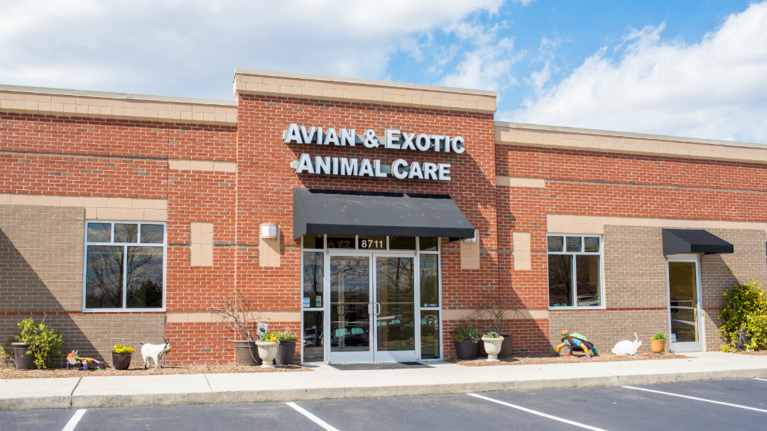 Avian and Exotic Animal Care