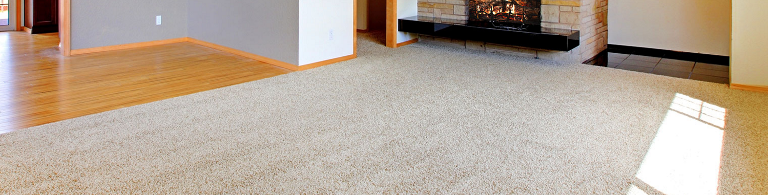 TW PRO Carpet & Upholstery CS, LLC