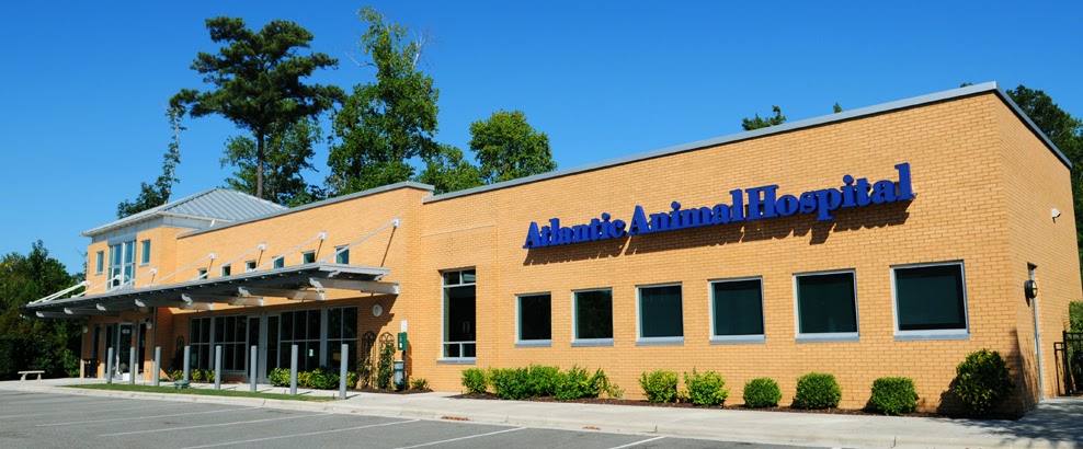 Atlantic Animal Hospital and Pet Care Resort