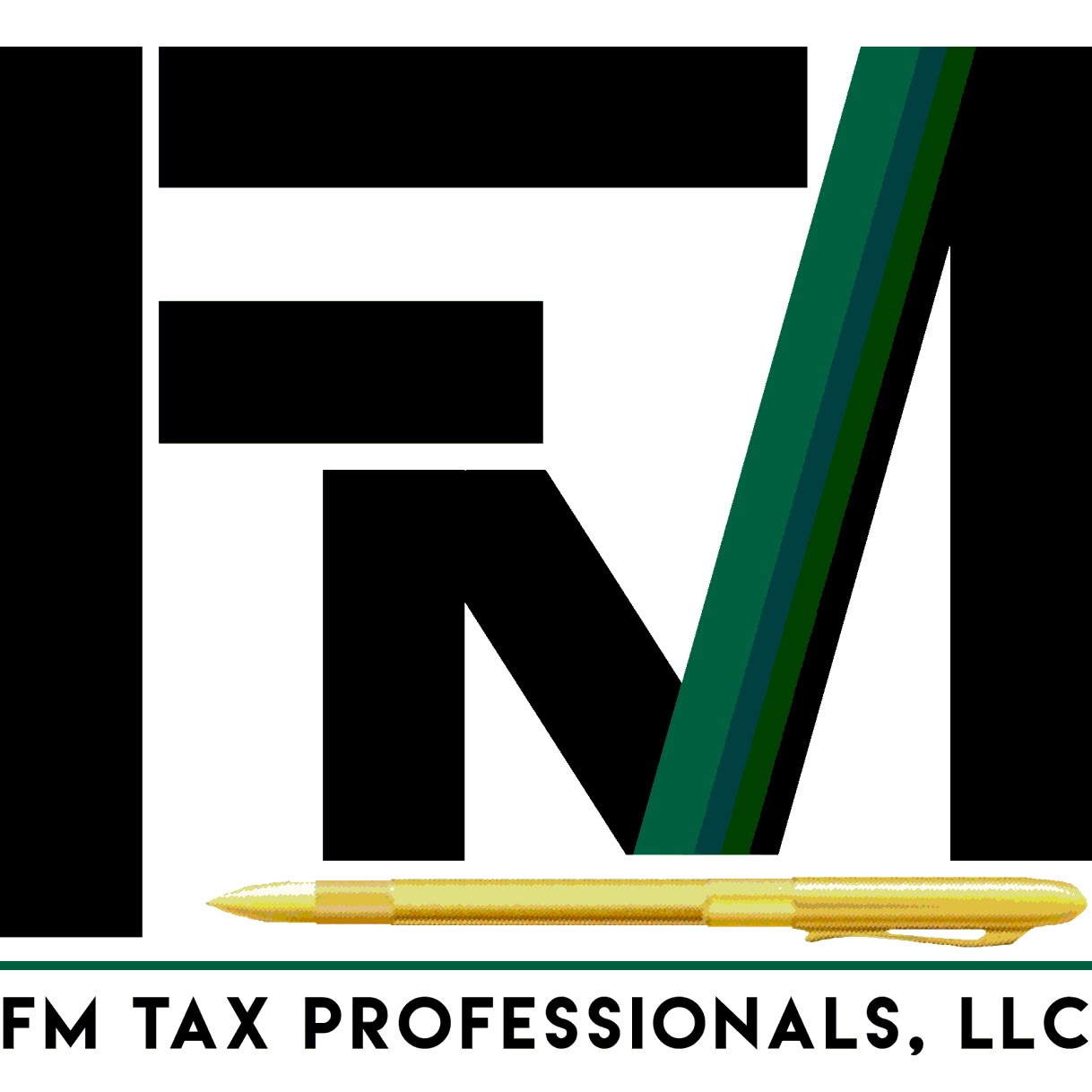FM TAX PROFESSIONALS, LLC