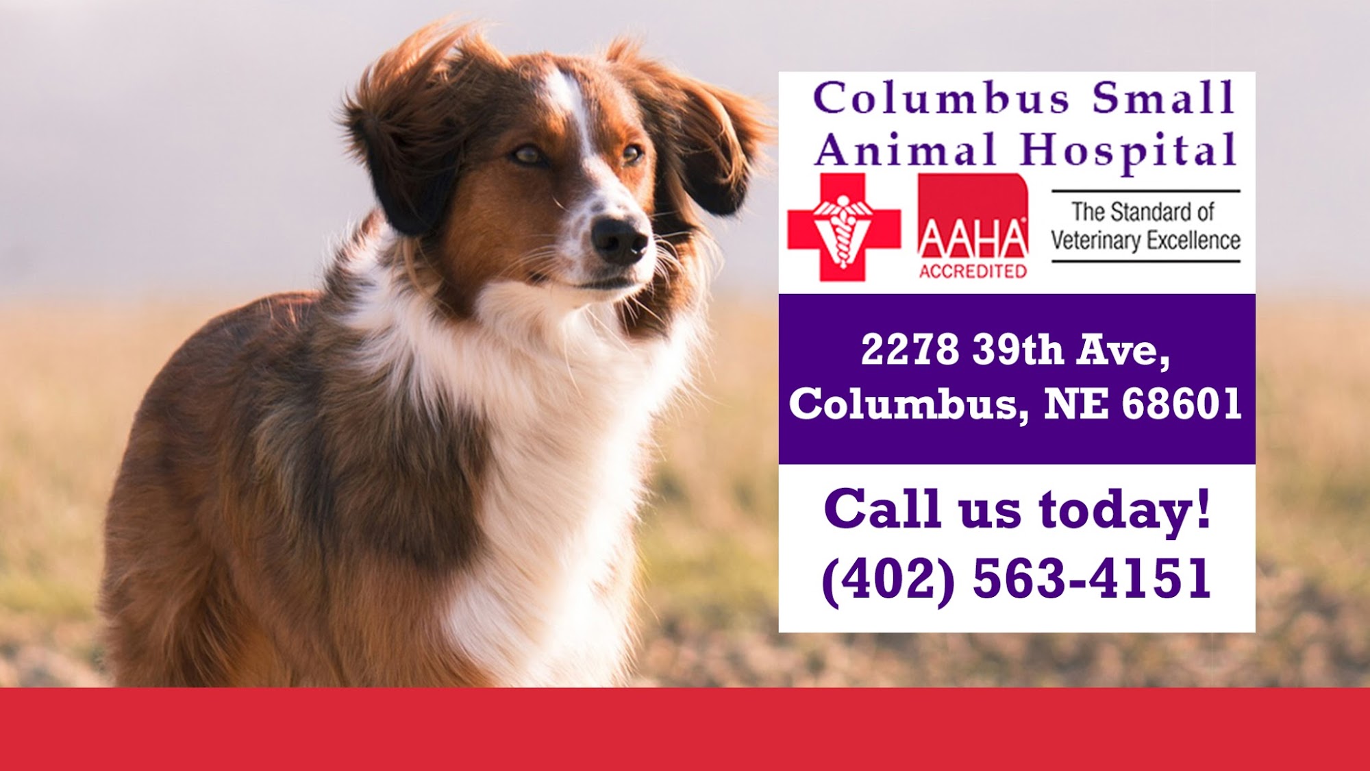 Columbus Small Animal Hospital