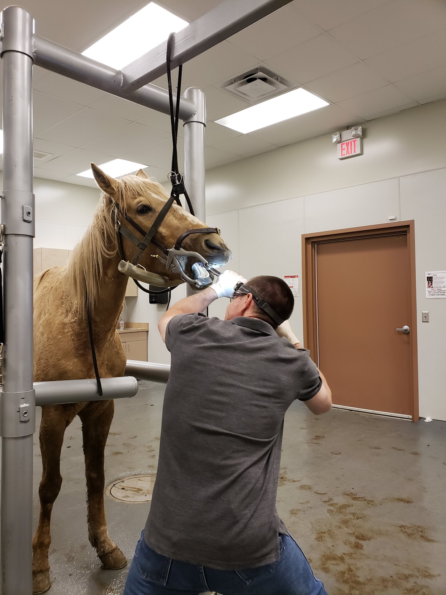 Nebraska Equine Veterinary Clinic