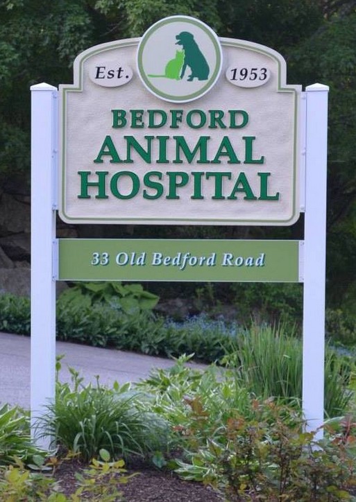 Bedford Animal Hospital