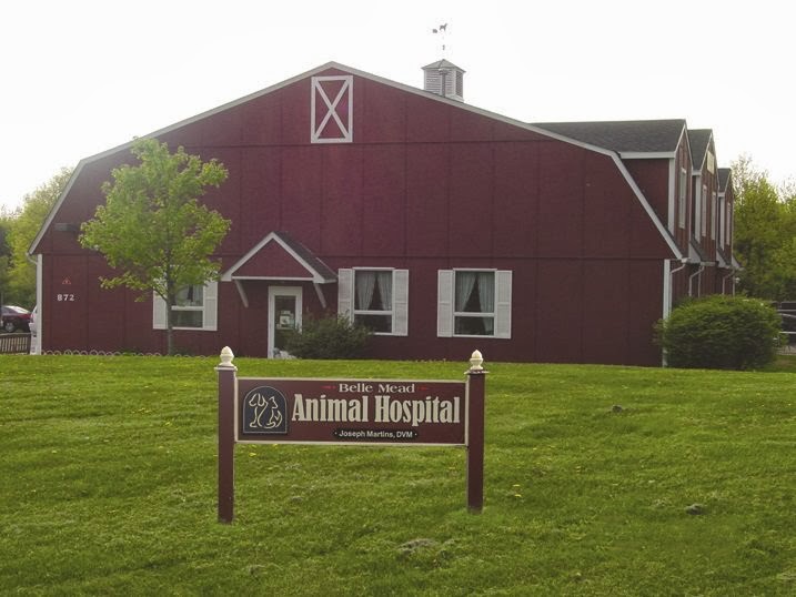 Belle Mead Animal Hospital