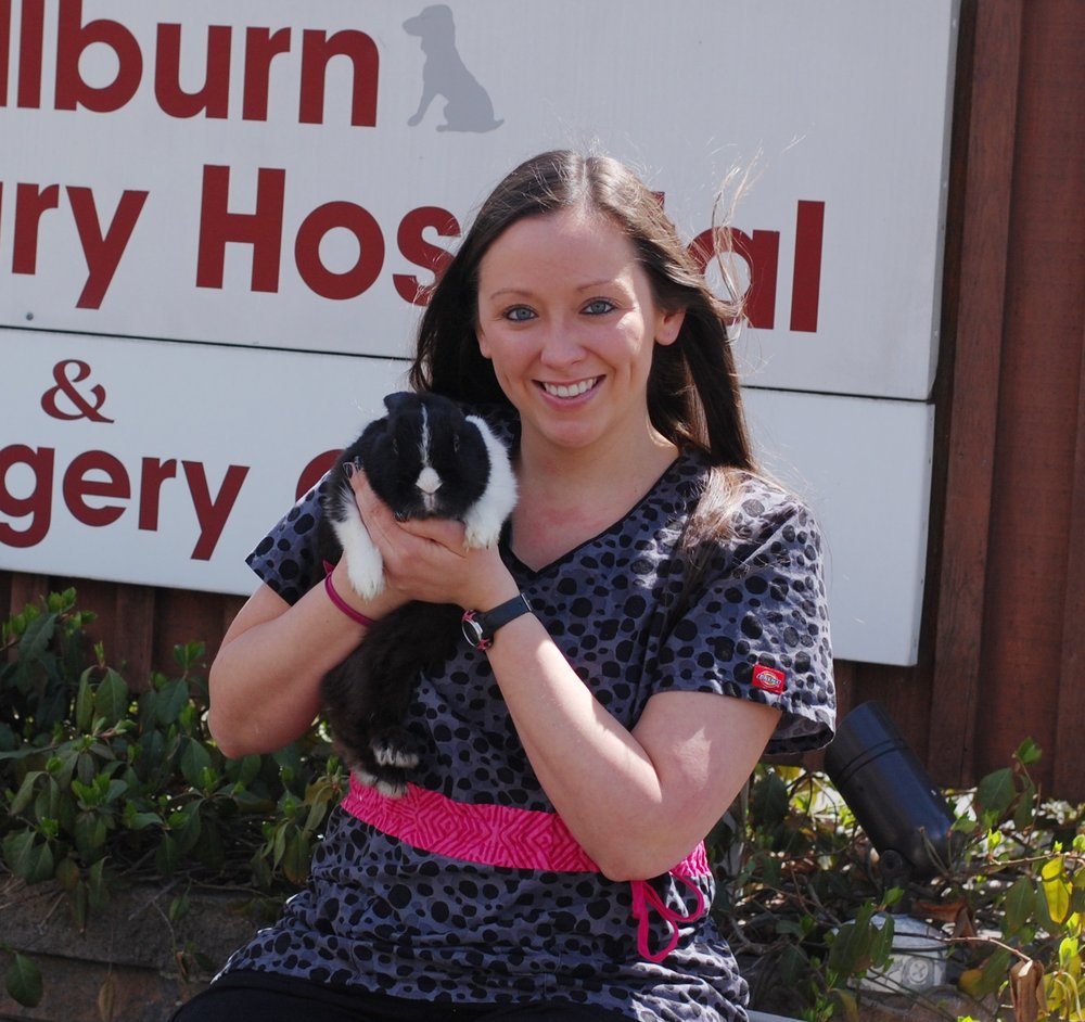 Millburn Veterinary Hospital