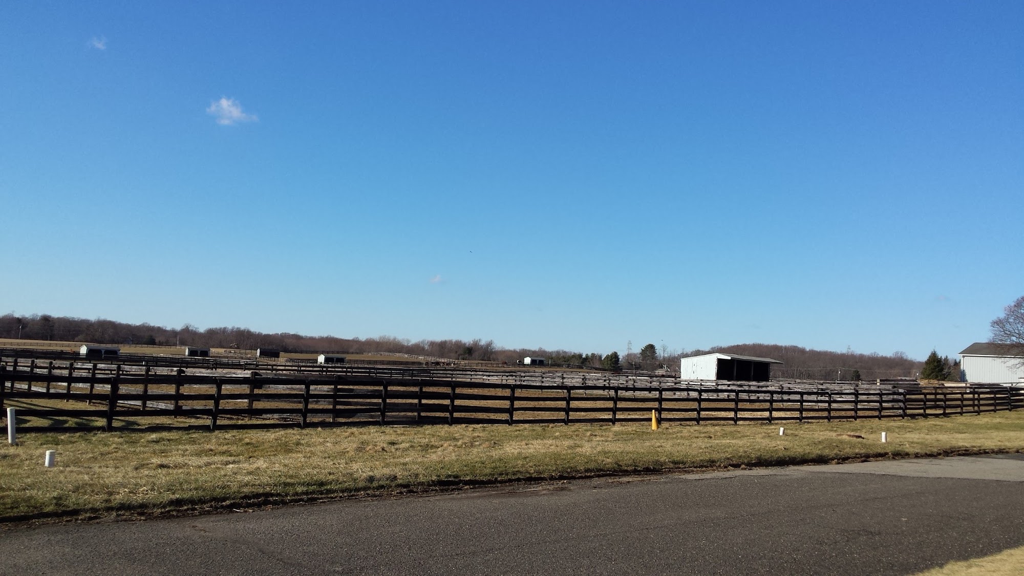 New Jersey Equine Clinic