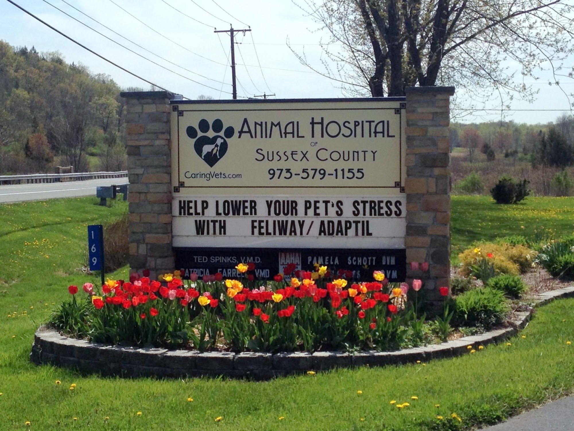 Animal Hospital of Sussex County